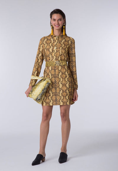 Snake Print Shirt Dress