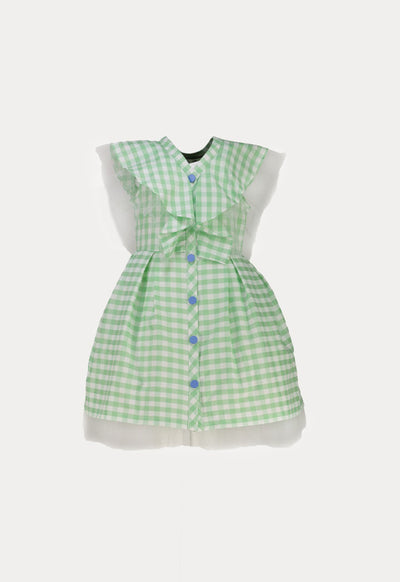 Frilled Placket Plaid Dress