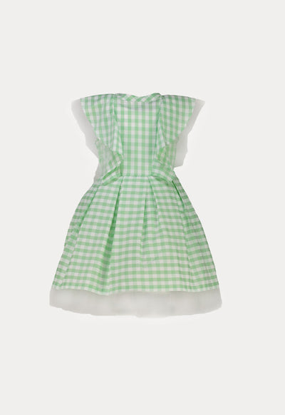 Frilled Placket Plaid Dress