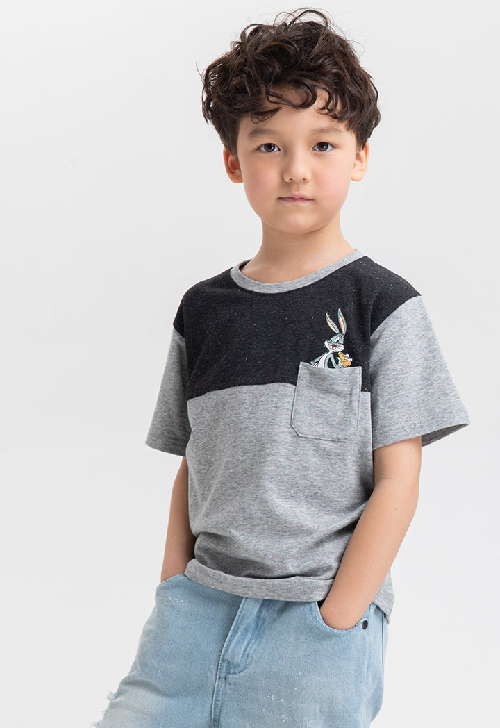 WB Looney Tunes Upper Panel Melange T-Shirt