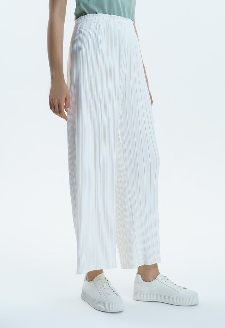 Pleated Wide Leg Culottes