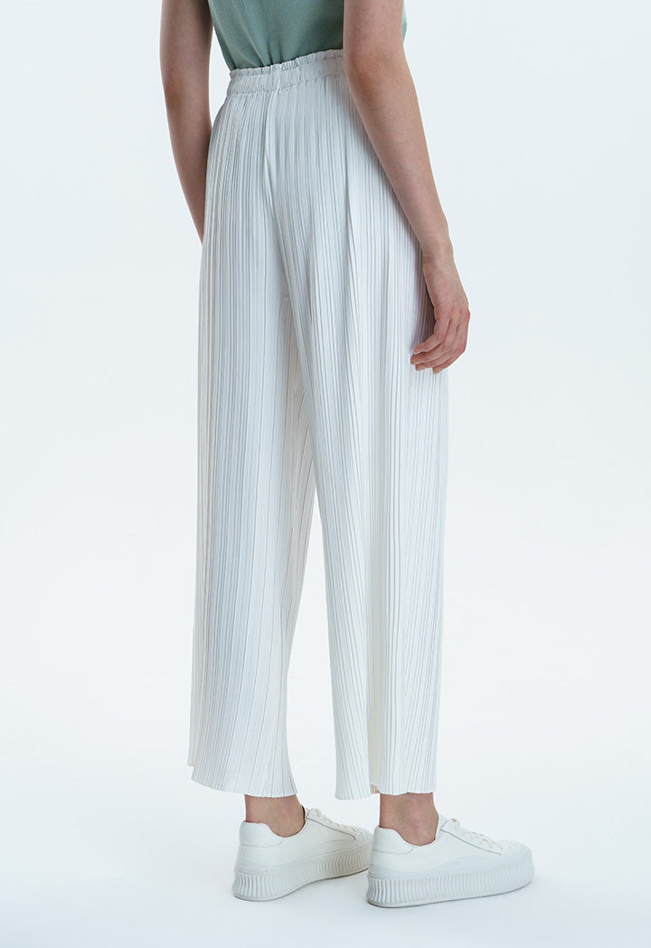 Pleated Wide Leg Culottes