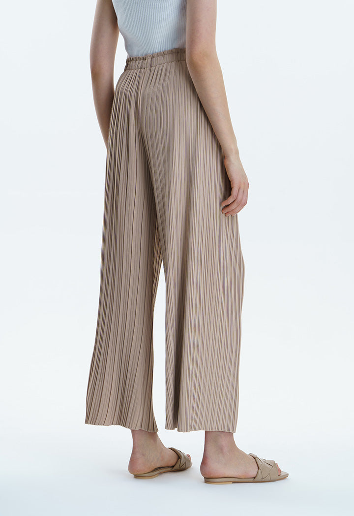 Pleated Wide Leg Culottes