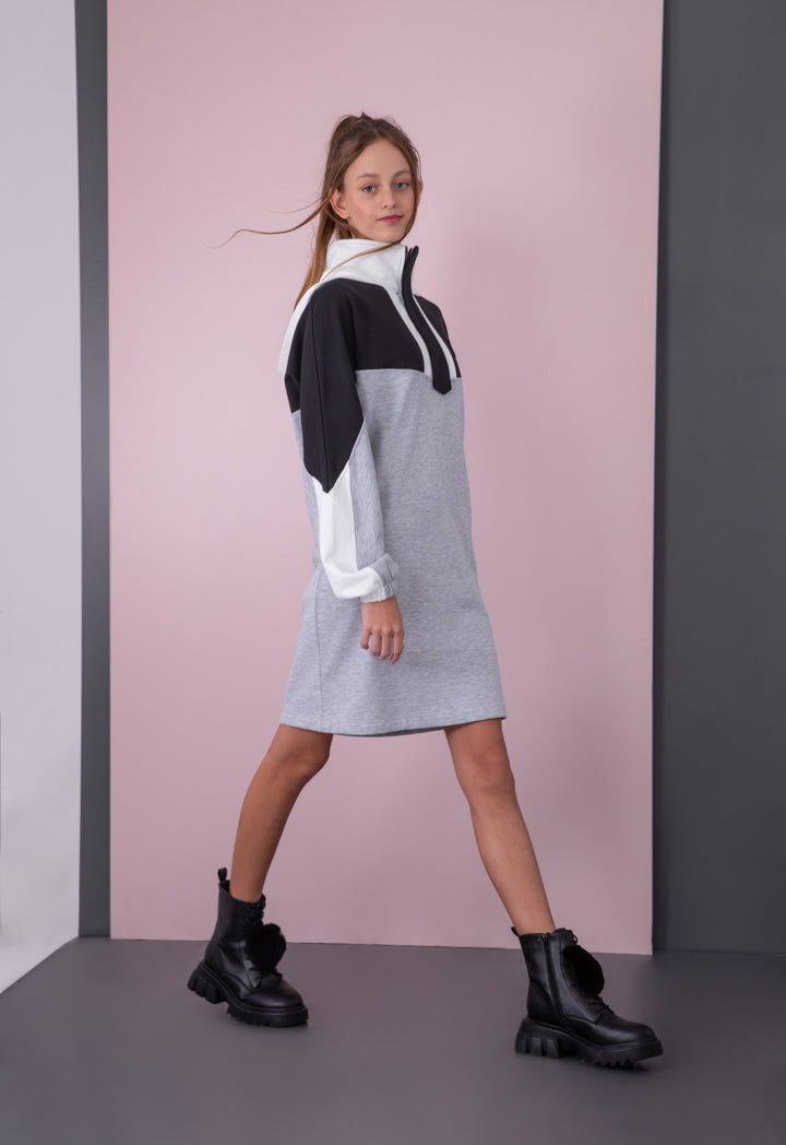 Color Block Stand Collar Hoodie Dress