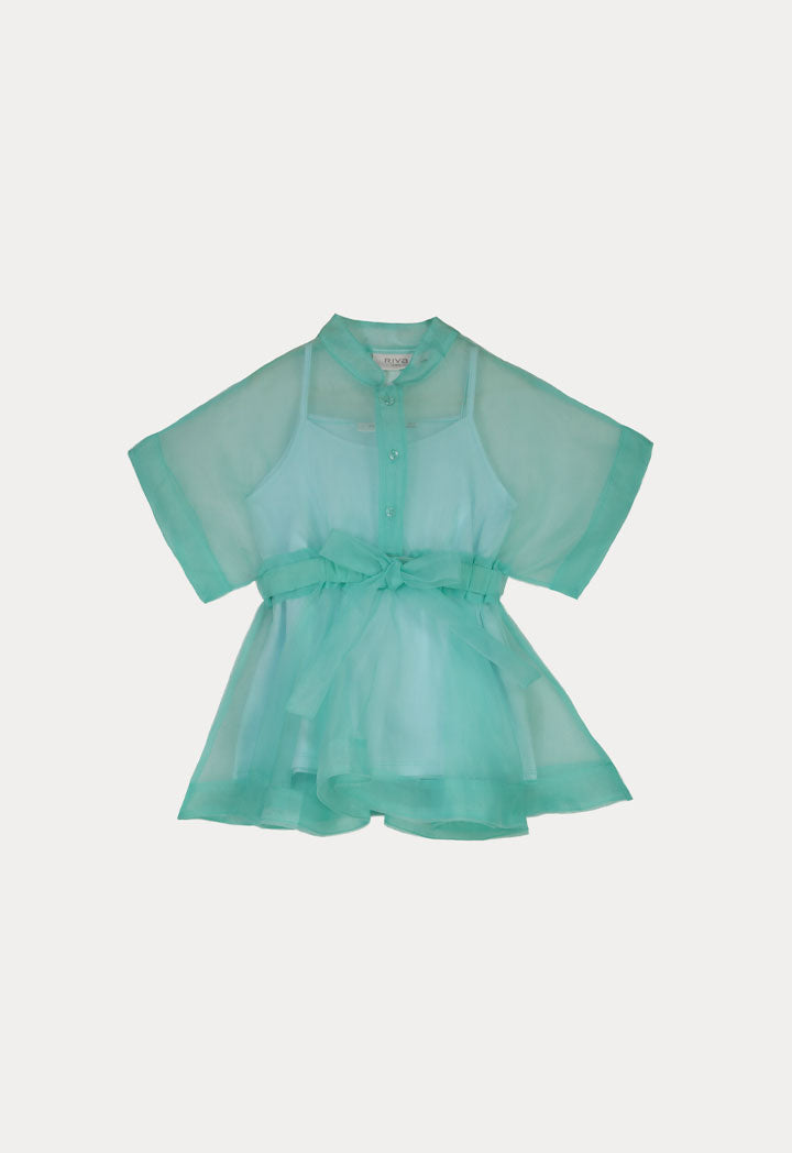 Elastic Waist Drop Shoulder Organza Blouse