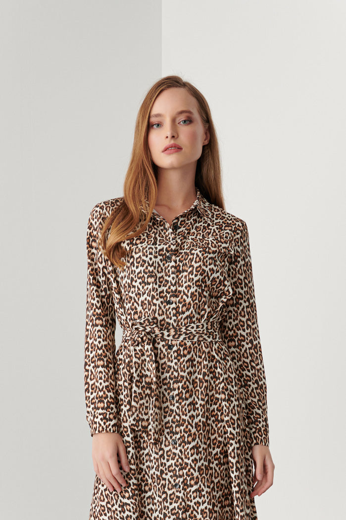 Leopard Print Dress