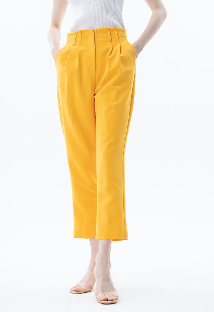 Solid Trouser With Pleated Waist