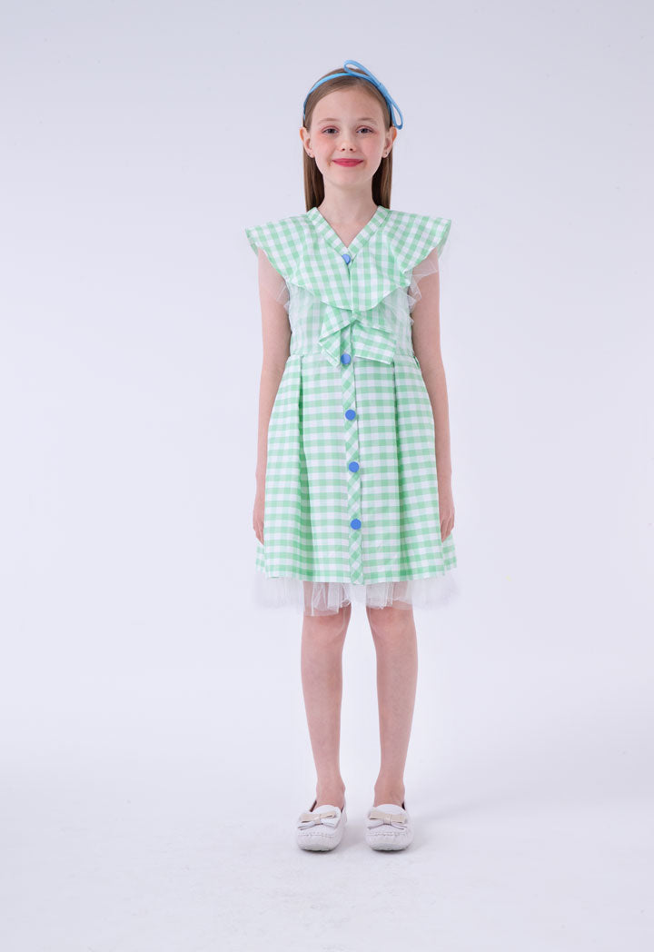 Frilled Placket Plaid Dress