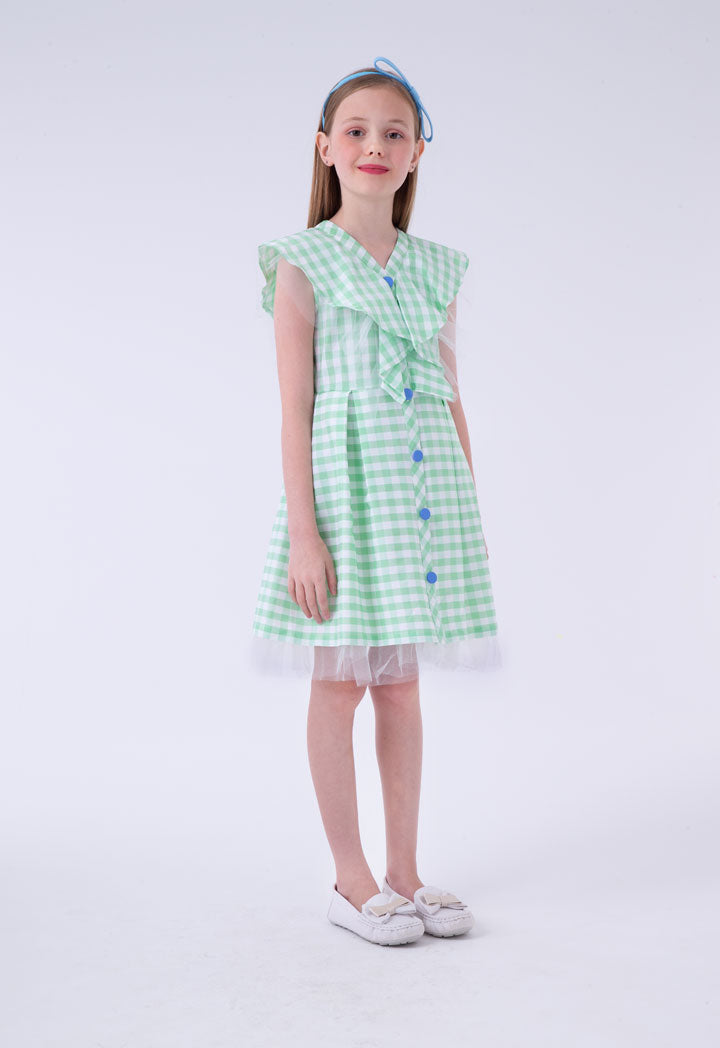 Frilled Placket Plaid Dress