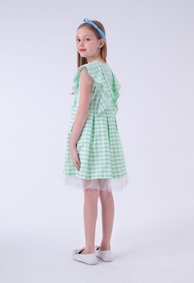 Frilled Placket Plaid Dress