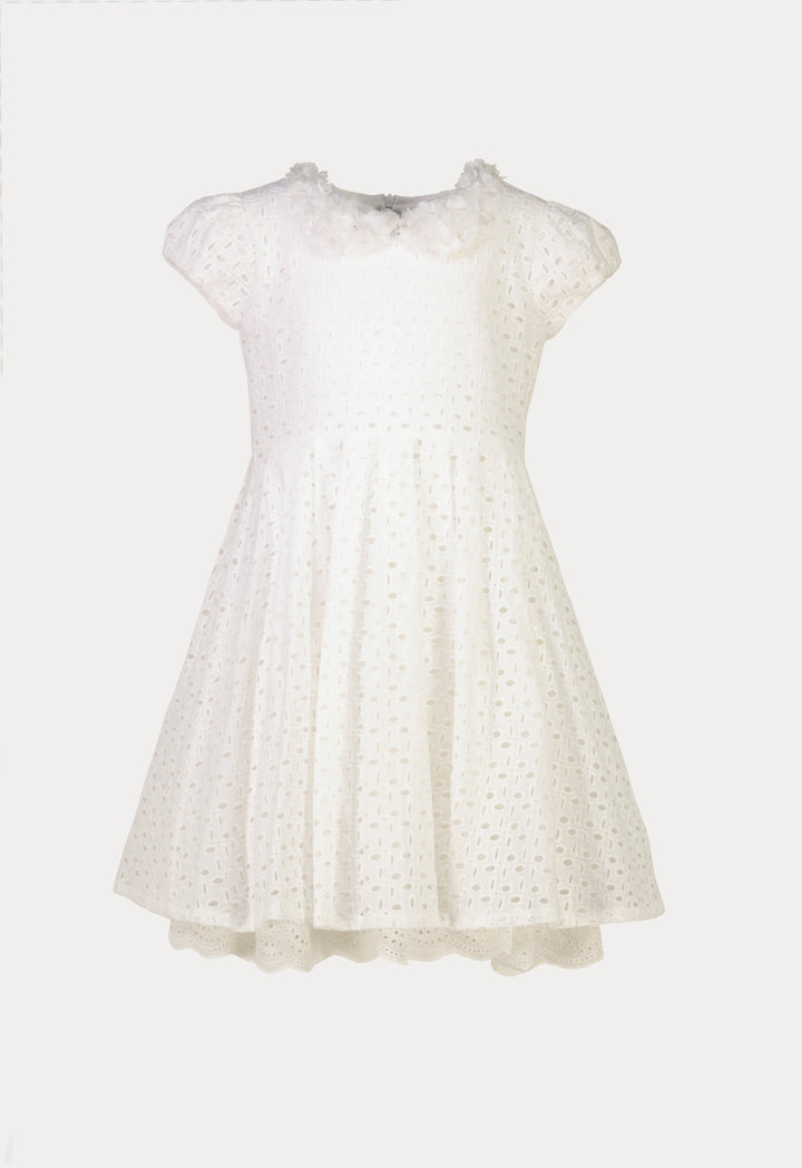 Overlay Lace Fabric Detachable Collar Embellished Dress