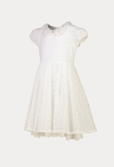 Overlay Lace Fabric Detachable Collar Embellished Dress