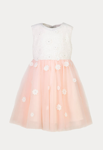 Tulle Floral Embroidered Lace Sleeveless Dress